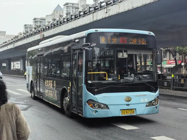 800BUS