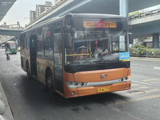 800BUS