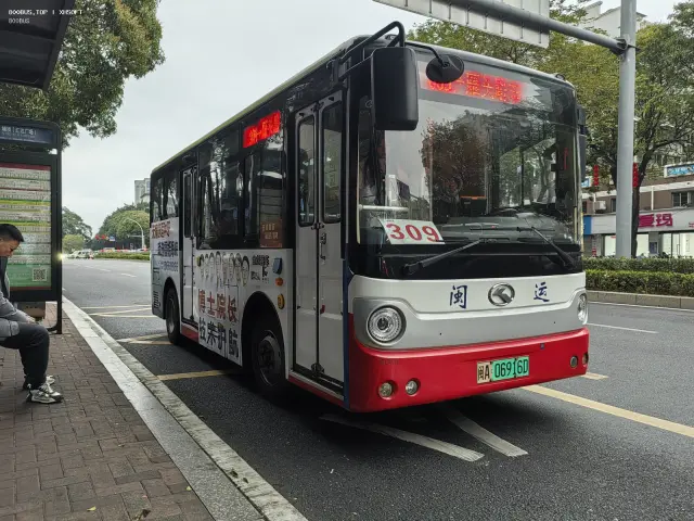 800BUS