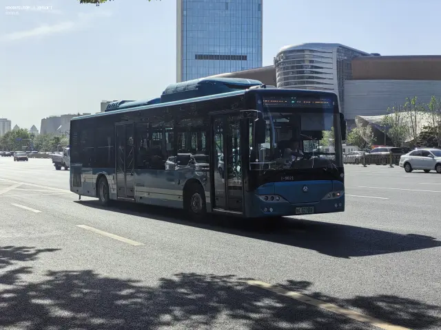 800BUS