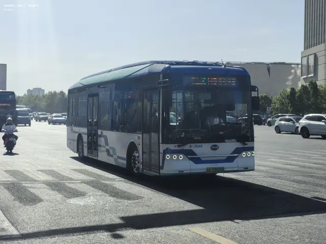 800BUS