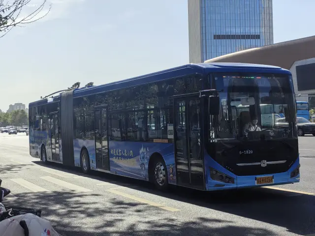 800BUS