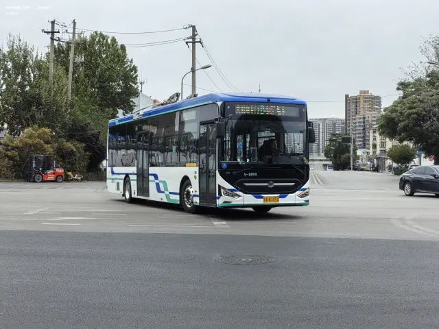 800BUS