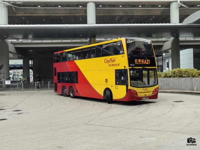800BUS