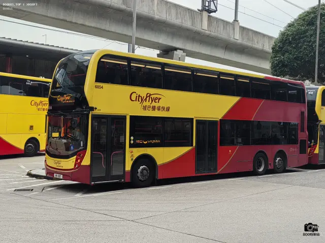 800BUS