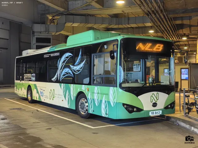 800BUS