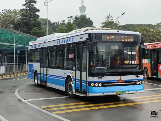 800BUS
