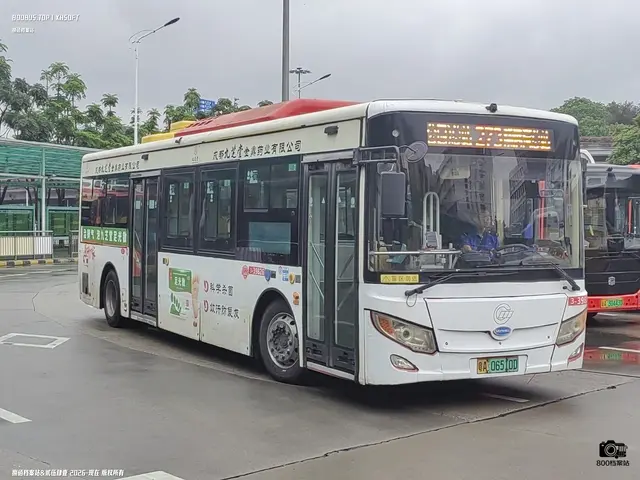粤A 06510D