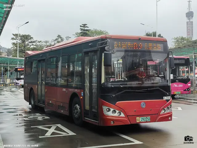 粤A 29225D