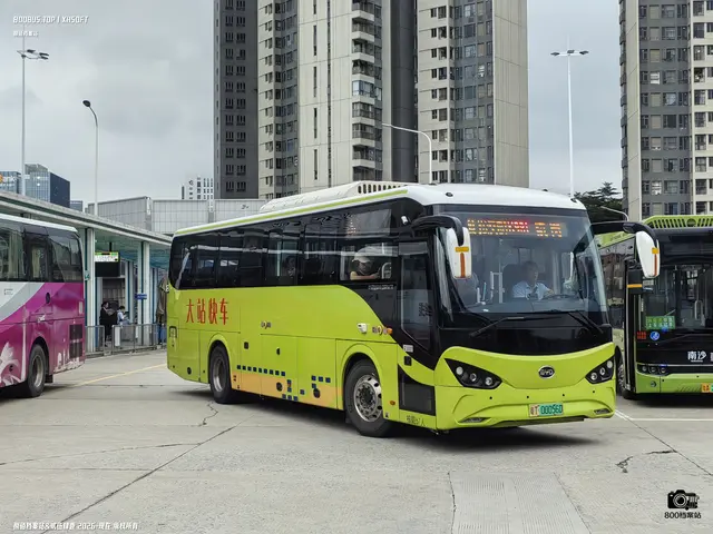 粤T 00056D