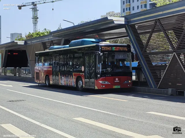 鲁A 01087F