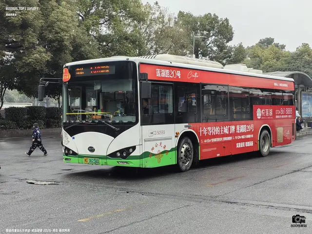 湘D 06238D