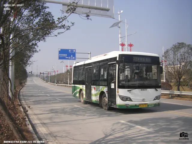 湘A D6782