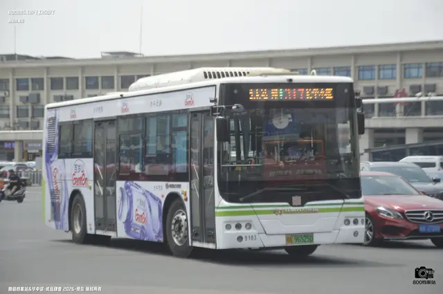 800BUS
