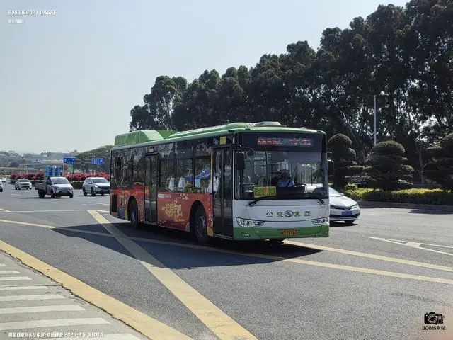 闽D Z7965