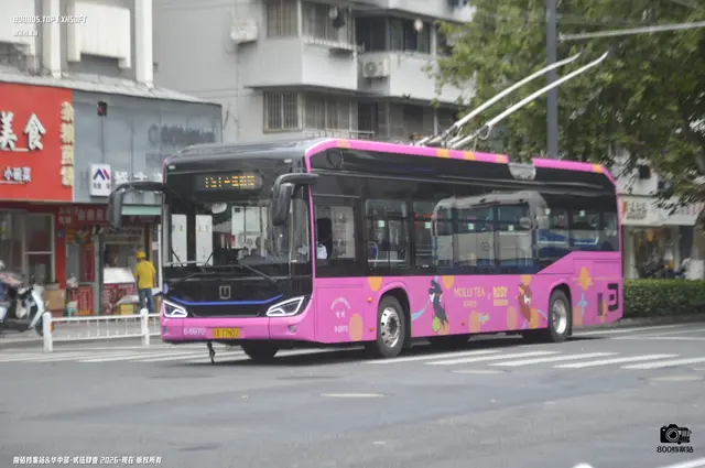 浙A 77N02