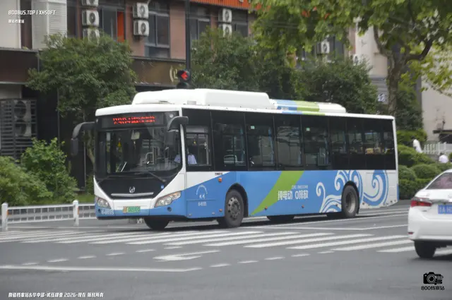 浙A 00592D