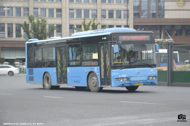 浙A 7L657