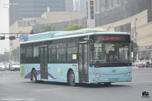 浙A 00236D