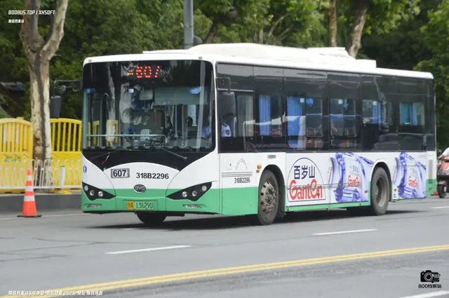800BUS