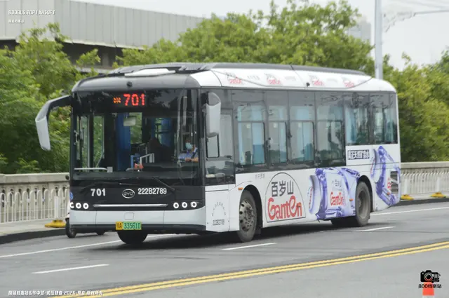 800BUS