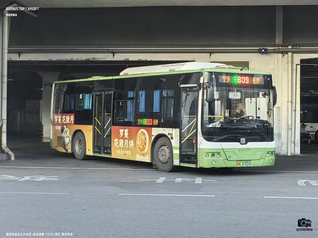 800BUS