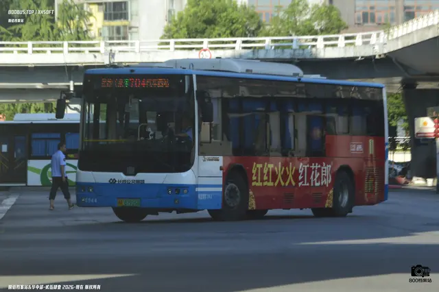 800BUS