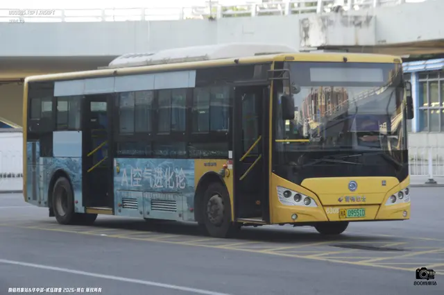800BUS