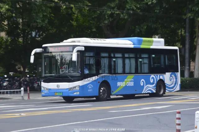 浙A 08305D