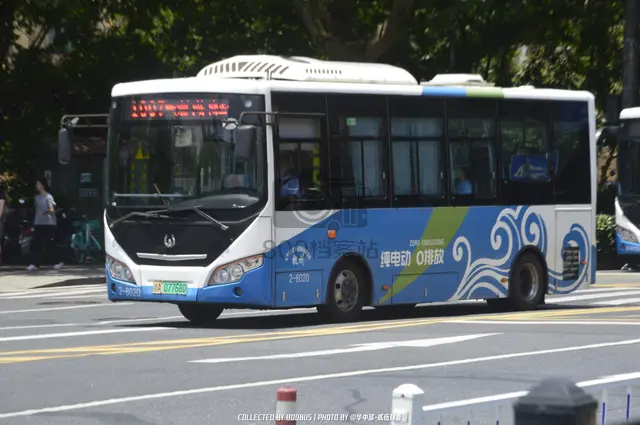 浙A 07768D