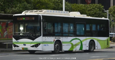 湘A 10029D