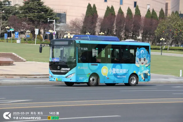 鲁B18531D
