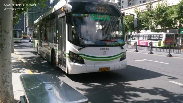 沪B D2397
