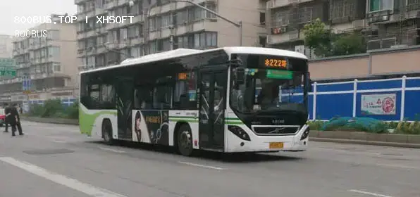 800BUS