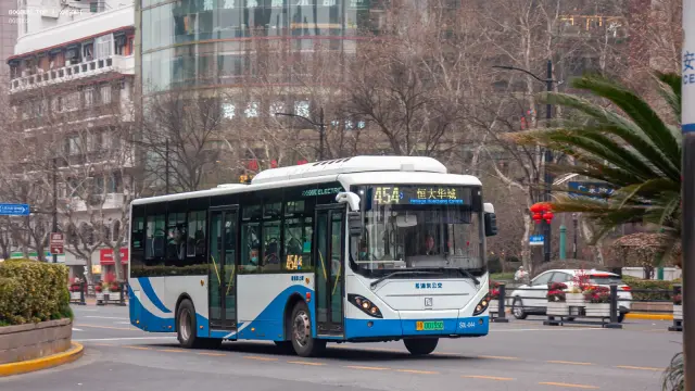 沪A 00155D