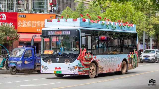 800BUS
