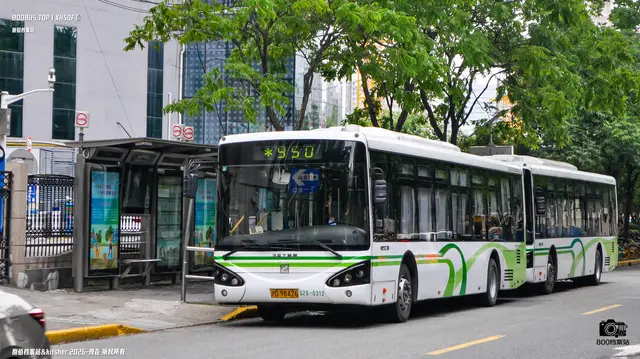 沪D 98426