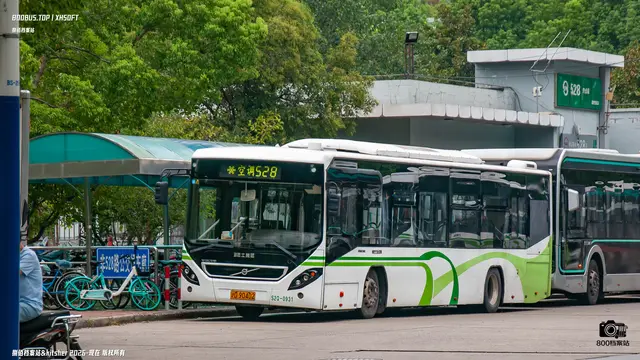 沪D 90402