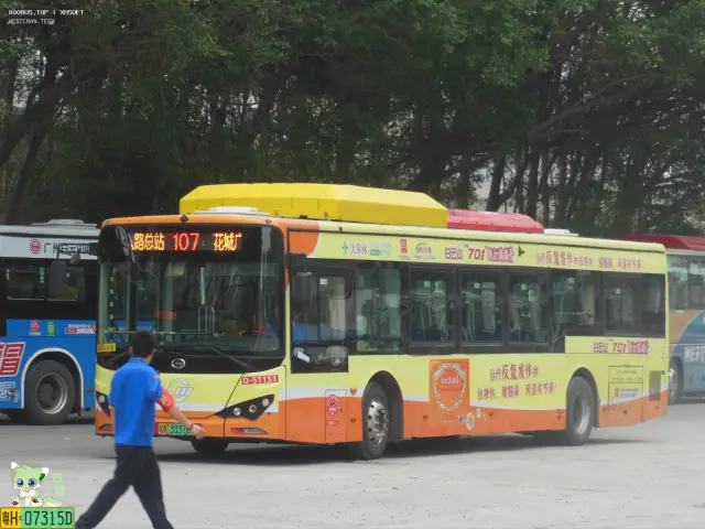 800BUS