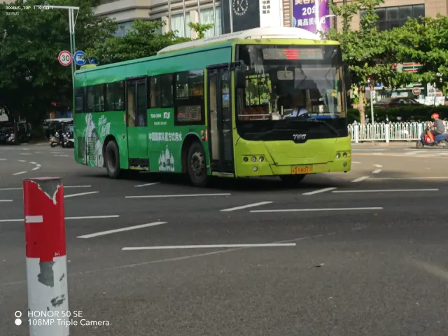 800BUS