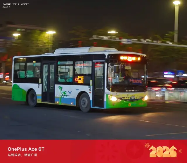 800BUS