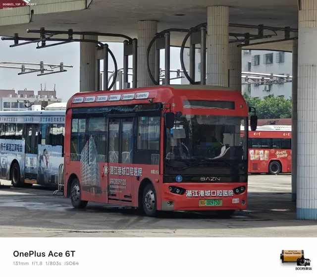800BUS