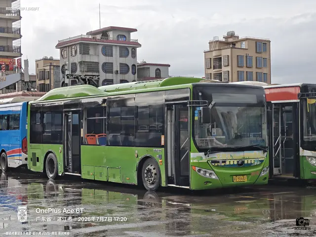 800BUS