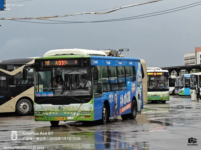 800BUS