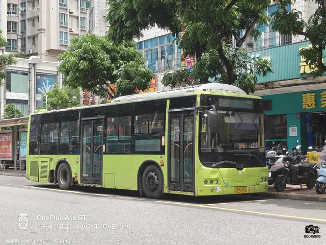 800BUS
