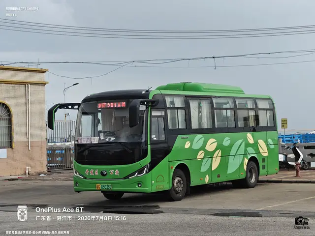 800BUS