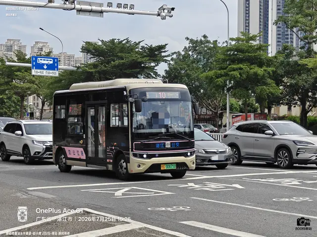 粤G 00675D