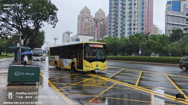 粤B 06617D