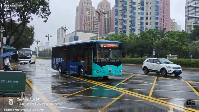 粤B 09115D