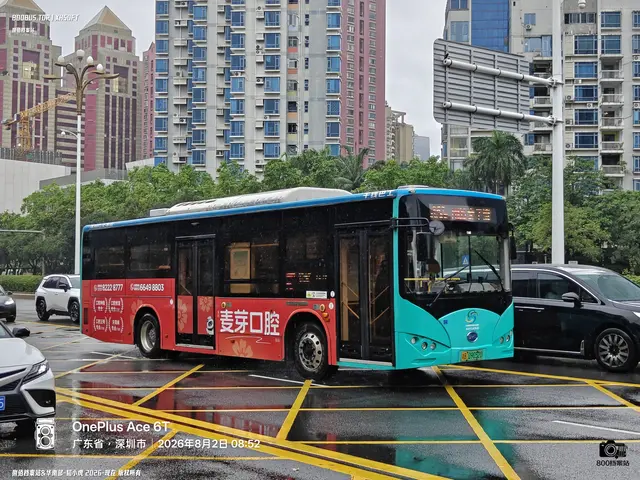 粤B 09052D
